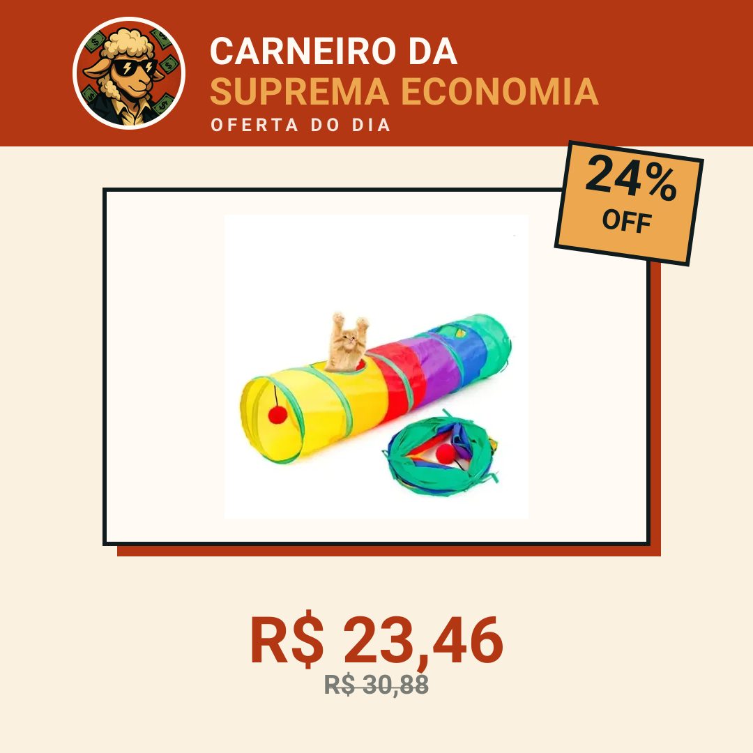 Túnel Interativo para Gatos com Bolinha Suspensa Colorido